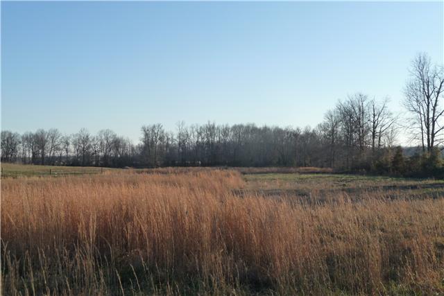 0 Williams Road Manchester, TN 37355 - Photo 2 of 8 0 Williams Rd Lot 19