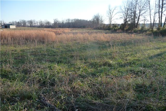 0 Williams Road Manchester, TN 37355 - Photo 3 of 8 Water and electric available!