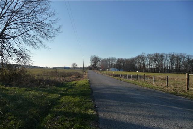 0 Williams Road Manchester, TN 37355 - Photo 4 of 8 View looking down the road.