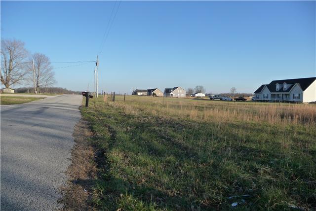 0 Williams Road Manchester, TN 37355 - Photo 5 of 8 View looking down the road to the left of lot #19