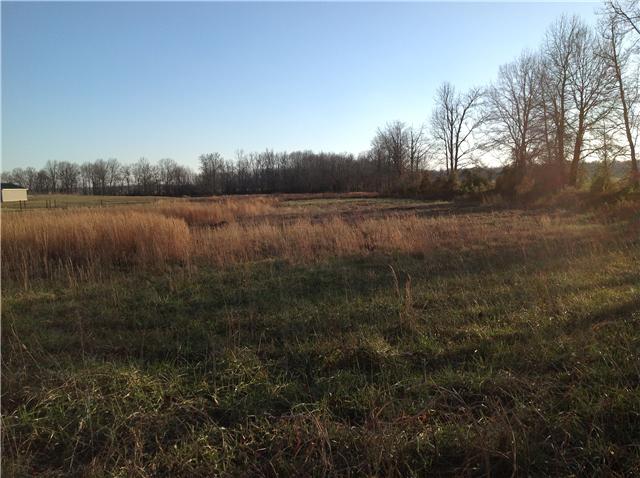 0 Williams Road Manchester, TN 37355 - Photo 6 of 8 Lot 19 Williams Rd.