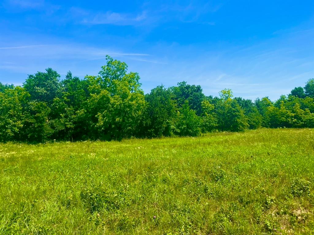 View of nature