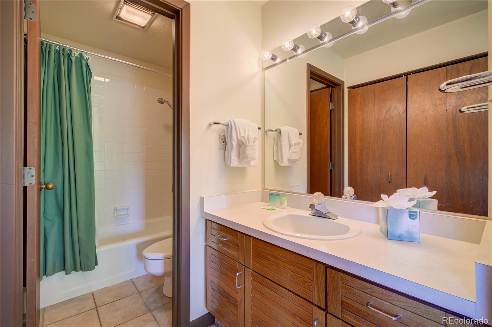 2015 Walton Creek Road, Unit 114 Steamboat Springs, CO 80487 - Photo 16 of 29 a bathroom with a sink a toilet and shower