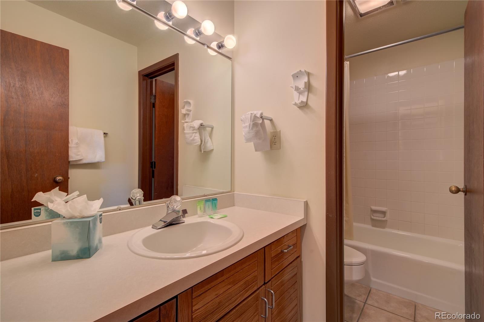 2015 Walton Creek Road, Unit 114 Steamboat Springs, CO 80487 - Photo 20 of 29 a bathroom with a sink and a mirror