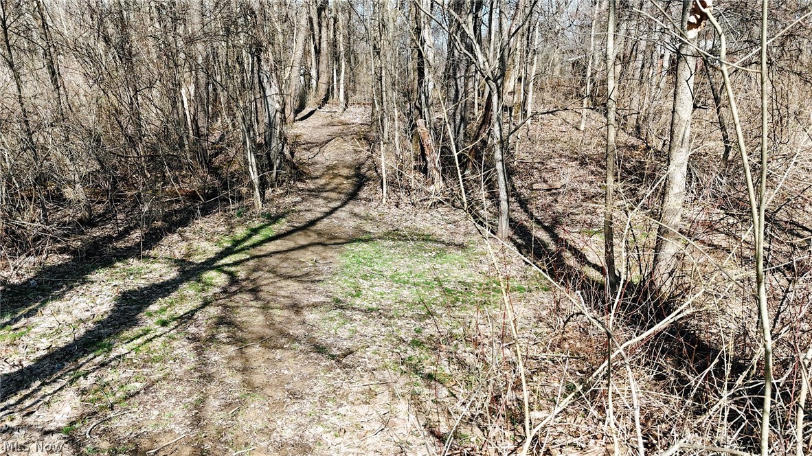 V/l Granger Road Medina, OH 44256 - Photo 12 of 14