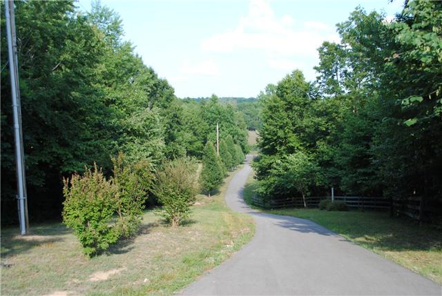 Paved drive leading up to the home.