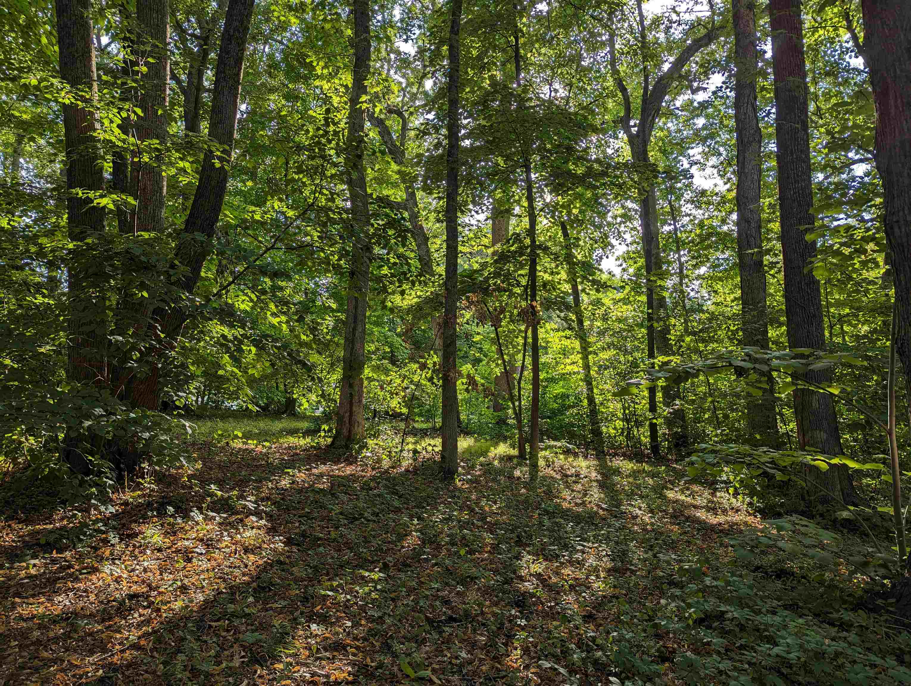 399 Eyre Lane Lake Summerset, IL 61019 - Photo 3 of 22 a view of outdoor space and trees