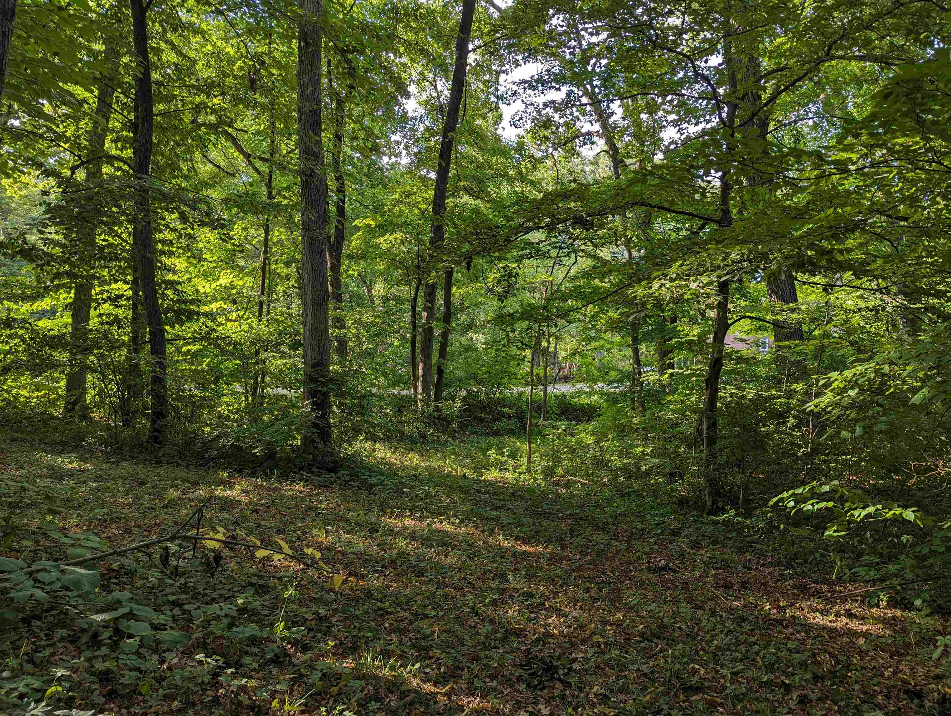 399 Eyre Lane Lake Summerset, IL 61019 - Photo 4 of 22 a view of outdoor space and green space