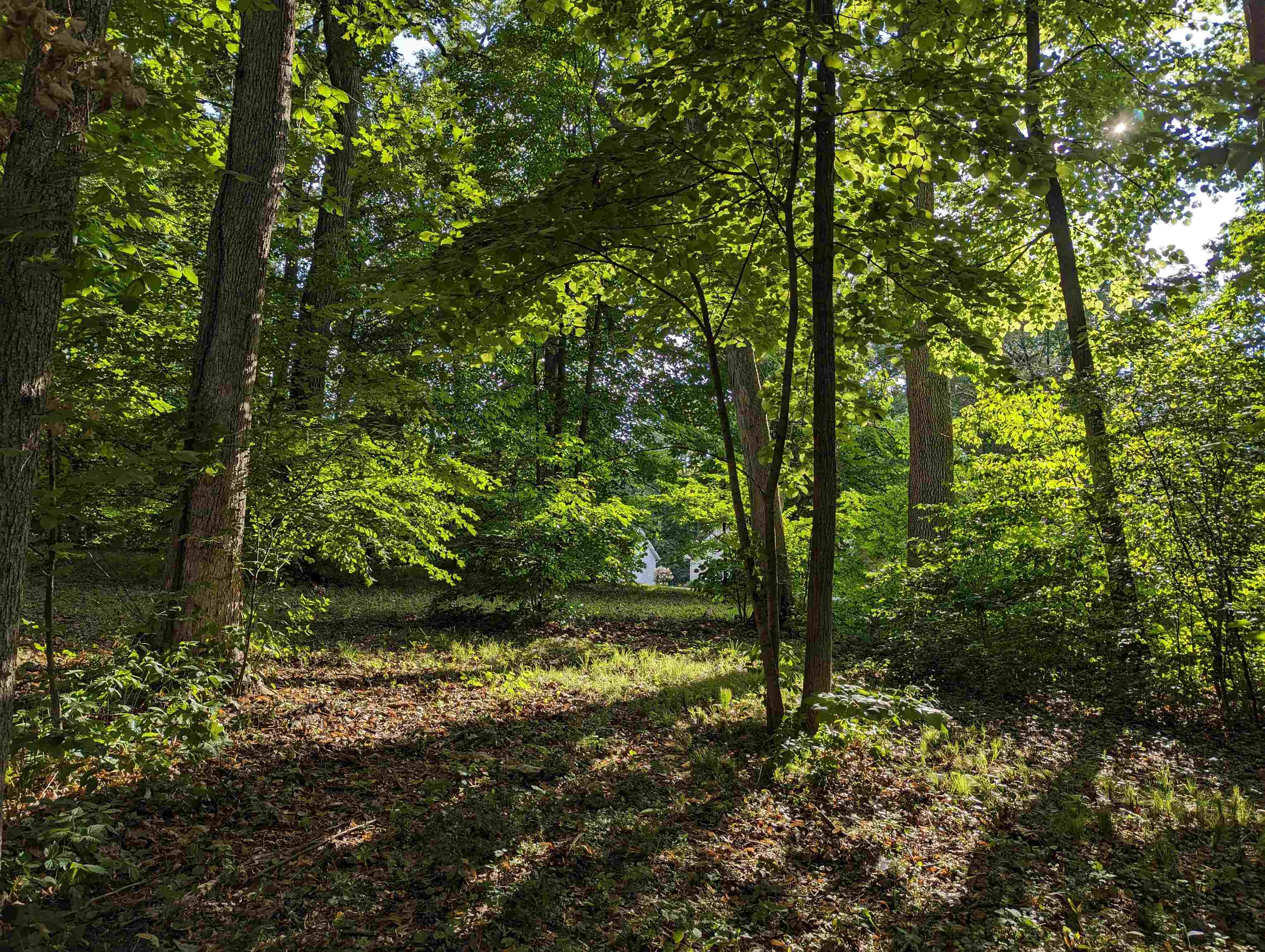 399 Eyre Lane Lake Summerset, IL 61019 - Photo 5 of 22 a view of outdoor space and yard