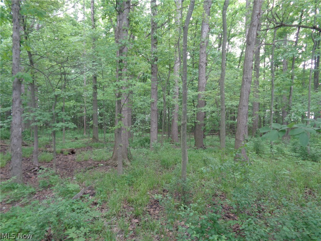 58 South R Elyria, OH 44035 - Photo 10 of 13 Gallery Image 10