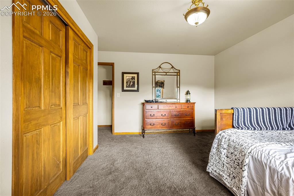 143 Ring Road Guffey, CO 80820 - Photo 18 of 36 Bedroom 3 with dark carpet and a closet