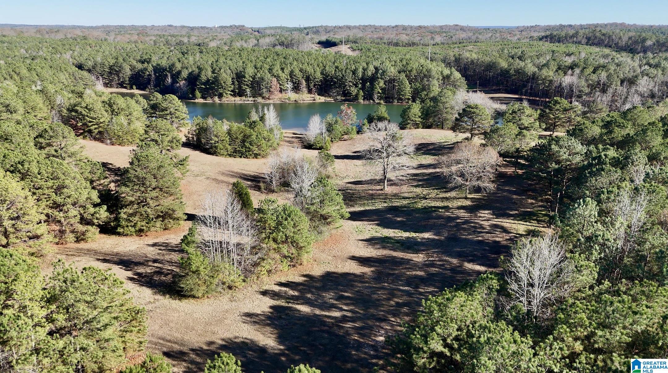 10000 Eastern Valley Road, Unit 10000 West Blocton, AL 35184 - Photo 7 of 21