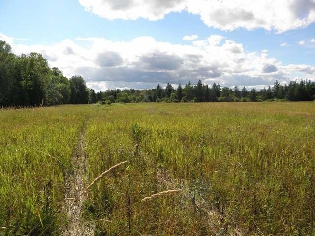 On Woodlawn Road Kennan, WI 54537 - Photo 17 of 20 Gallery Image 17