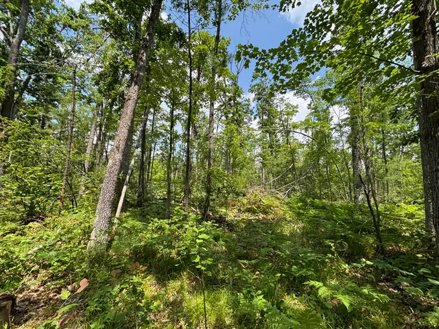 $54,900 | 12.27 A Meridian Line Road, Johannesburg, MI 49751