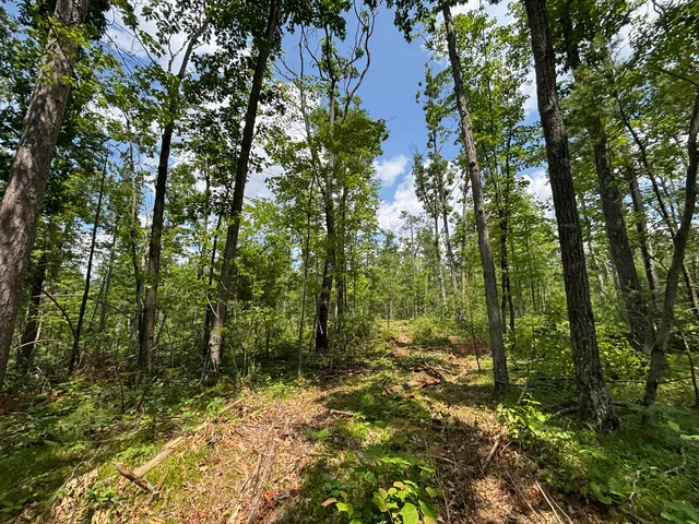 $54,900 | 12.27 A Meridian Line Road, Johannesburg, MI 49751