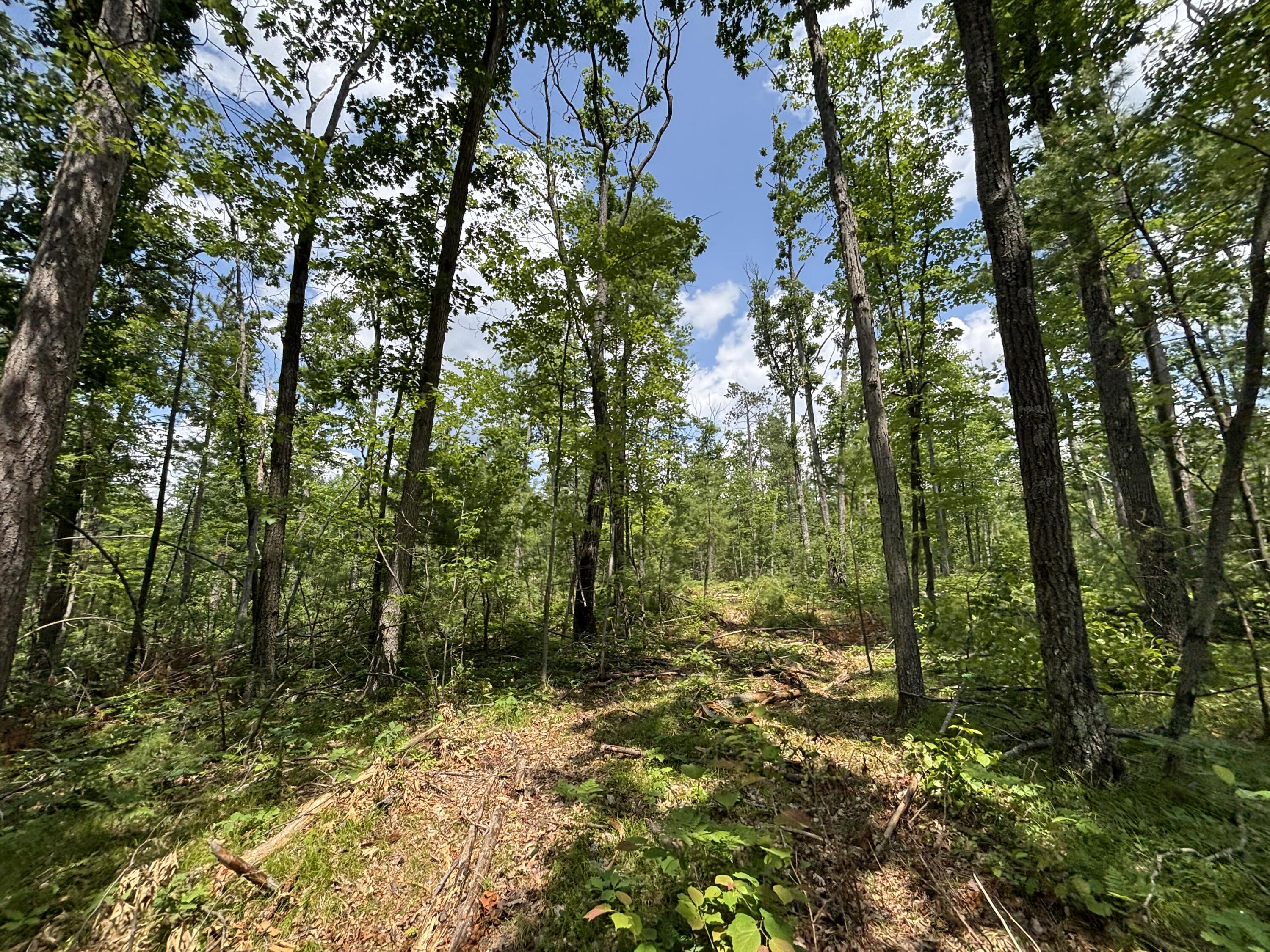 12.27 A Meridian Line Road Johannesburg, MI 49751 - Photo 12 of 14 IMG_8301_2