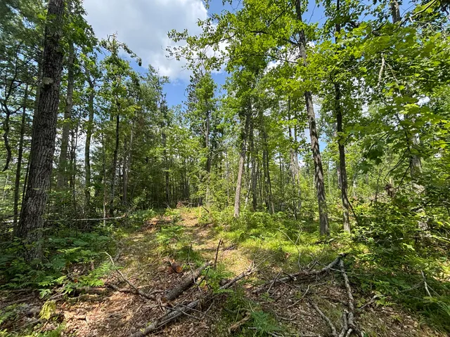 $54,900 | 12.27 A Meridian Line Road, Johannesburg, MI 49751