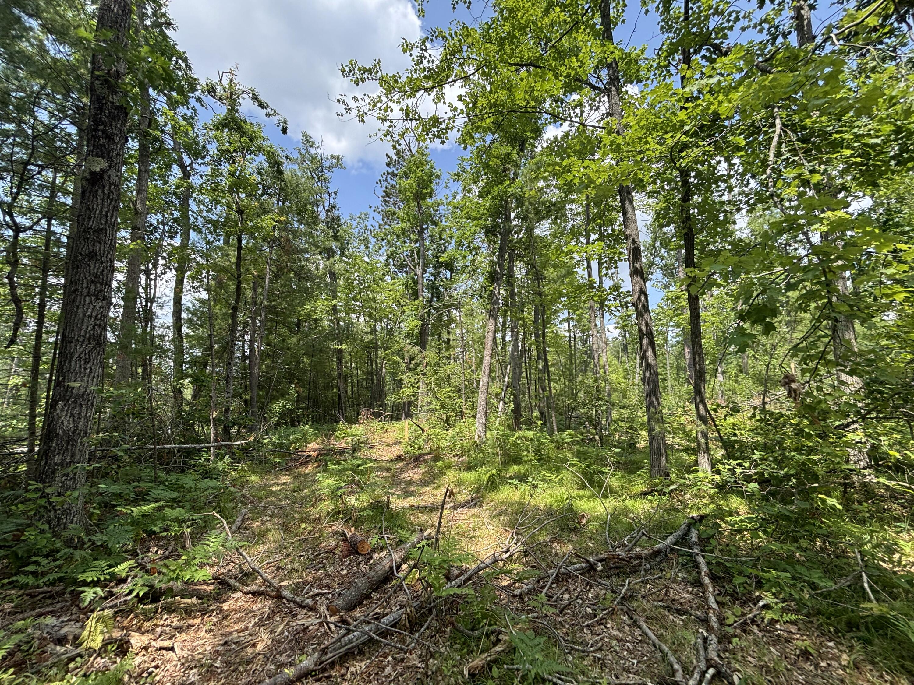 12.27 A Meridian Line Road Johannesburg, MI 49751 - Photo 5 of 14 IMG_8280_2