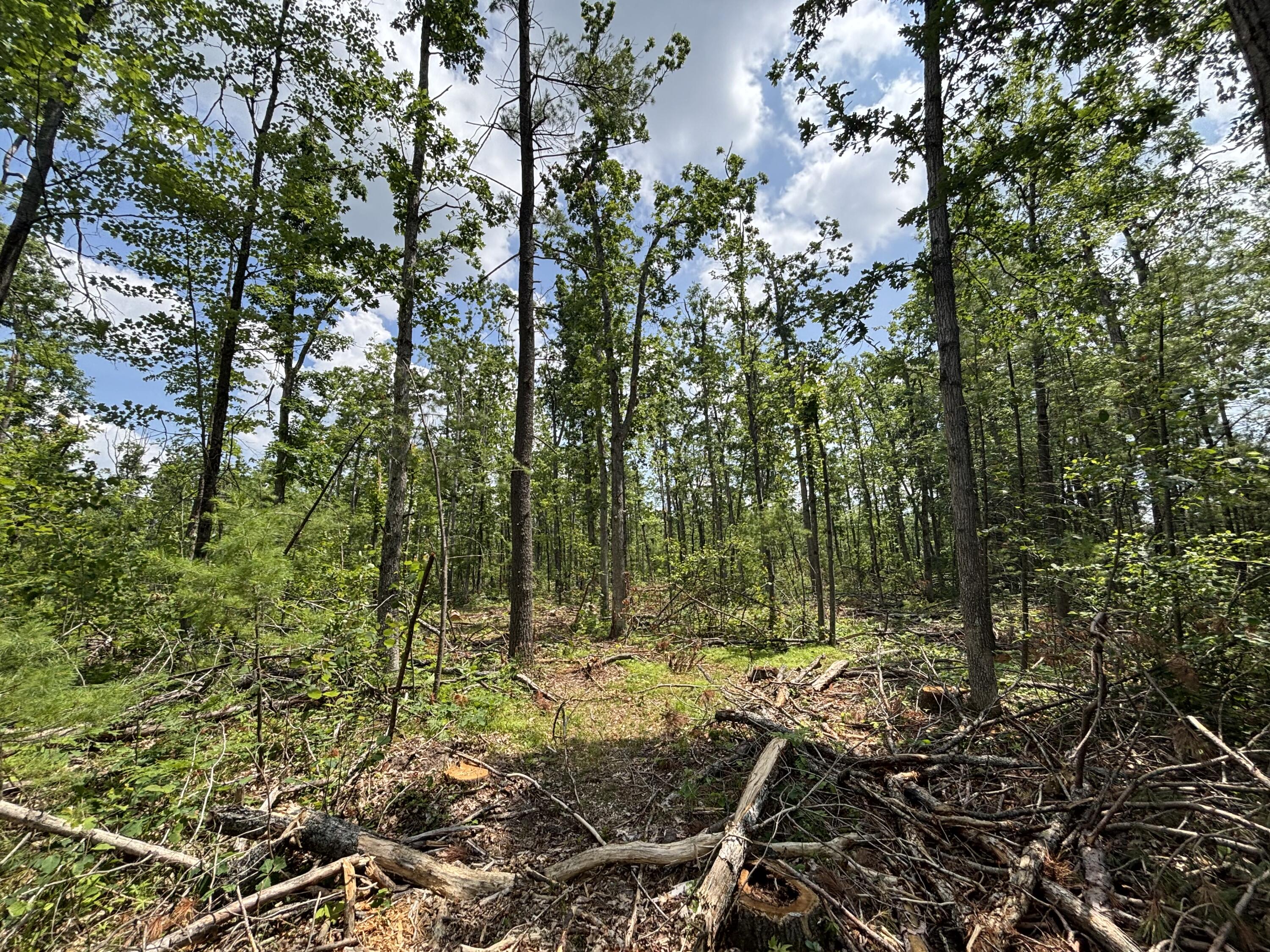 12.27 A Meridian Line Road Johannesburg, MI 49751 - Photo 6 of 14 IMG_8282_2