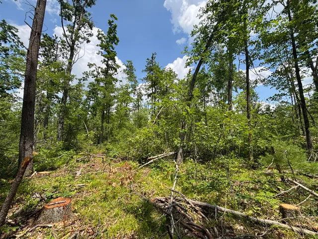 $54,900 | 12.27 A Meridian Line Road, Johannesburg, MI 49751