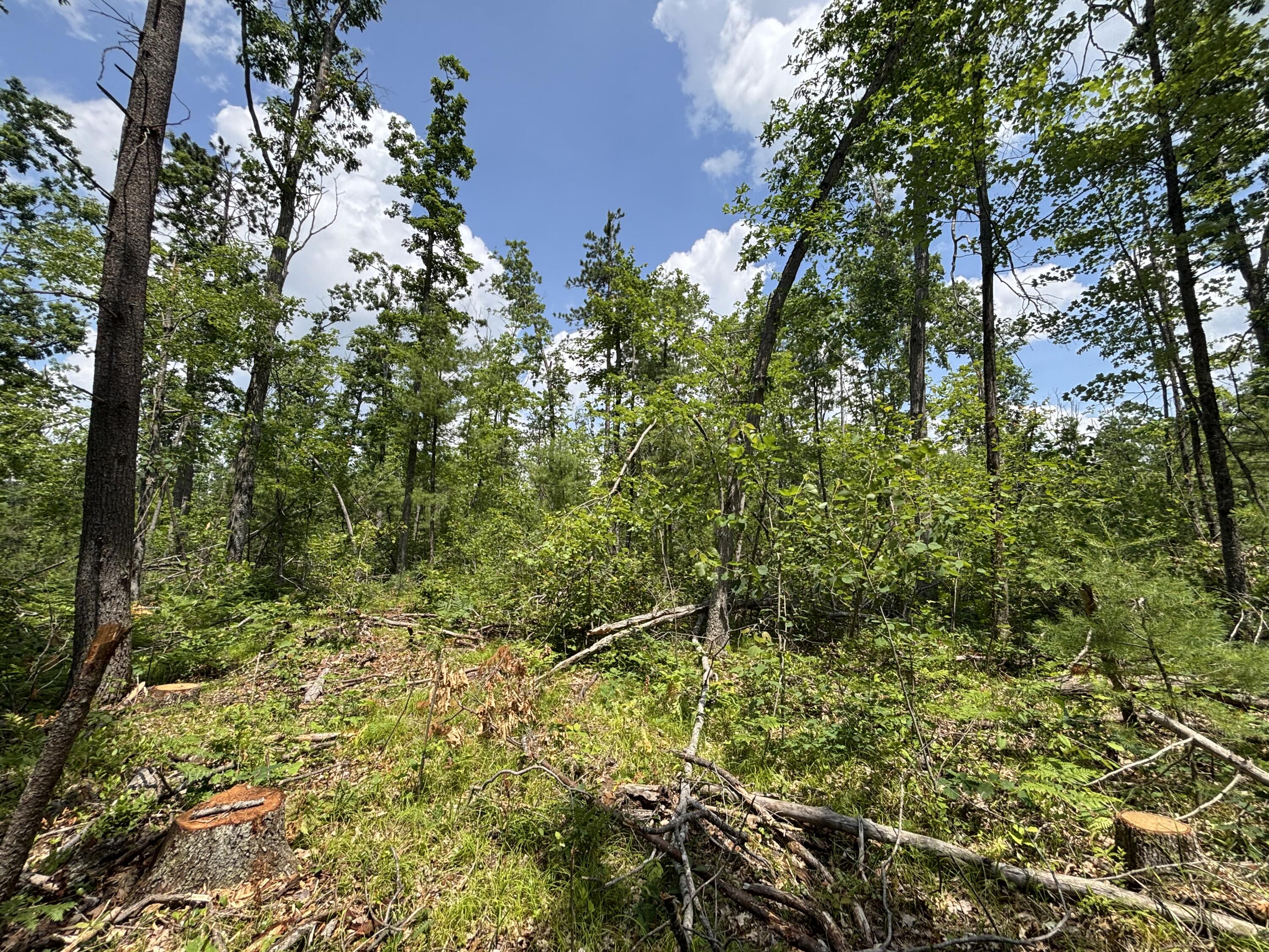 12.27 A Meridian Line Road Johannesburg, MI 49751 - Photo 7 of 14 IMG_8283_2