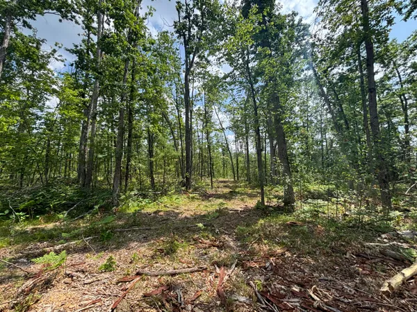 $45,000 | 12.27 A Meridian Line Road, Johannesburg, MI 49751