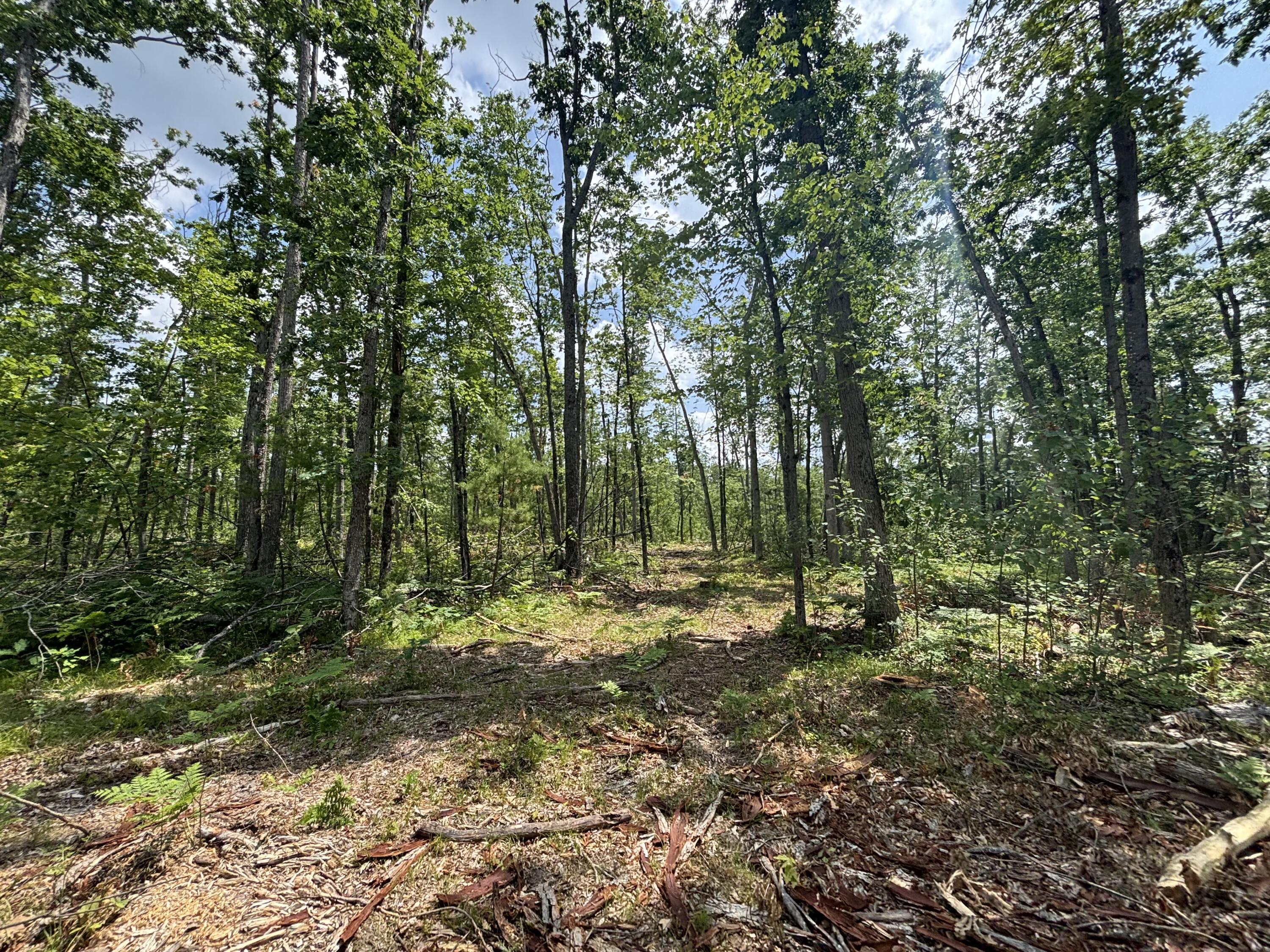 12.27 A Meridian Line Road Johannesburg, MI 49751 - Photo 8 of 14 IMG_8284_2