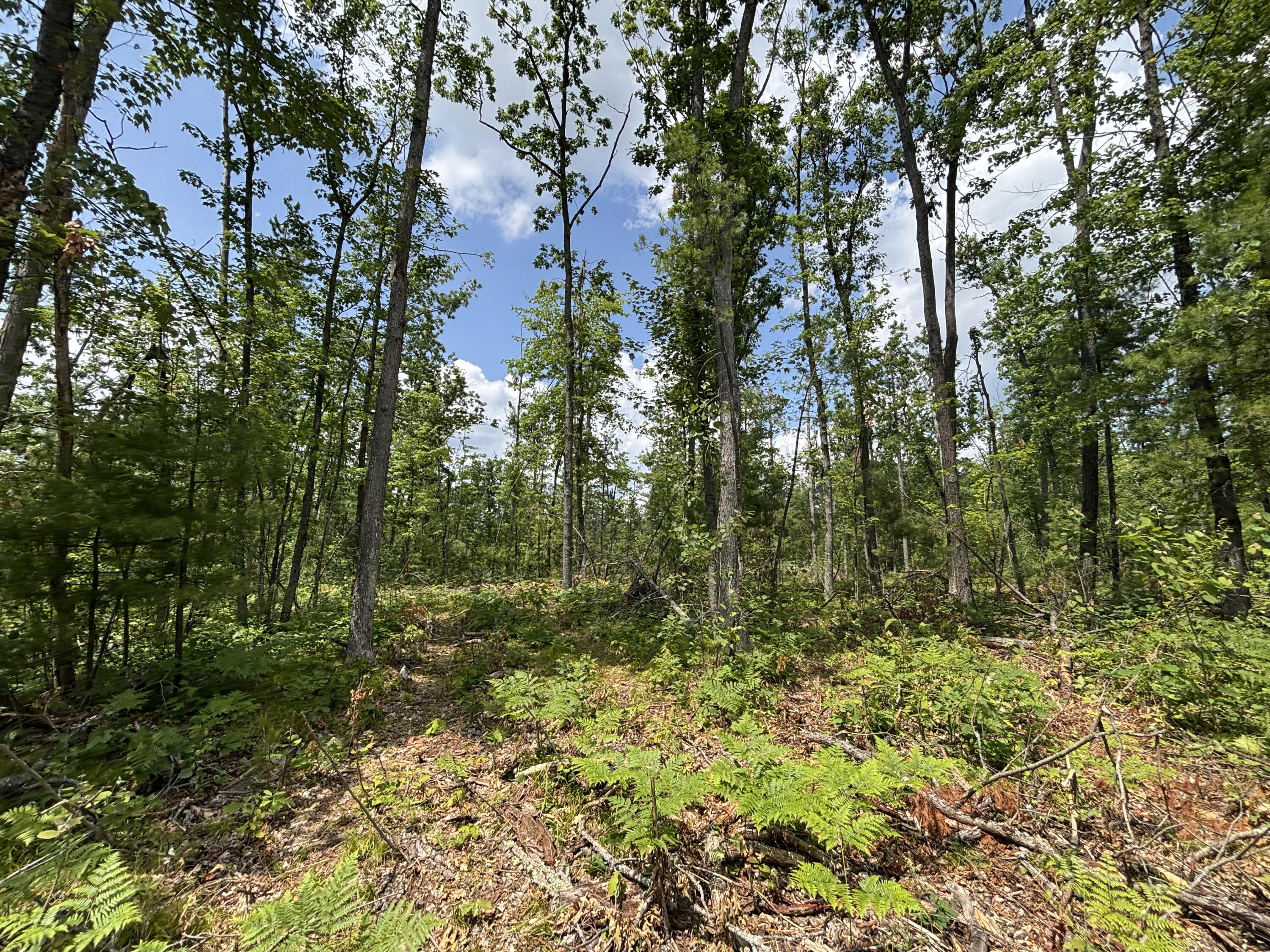 12.27 A Meridian Line Road Johannesburg, MI 49751 - Photo 9 of 14 IMG_8289_2