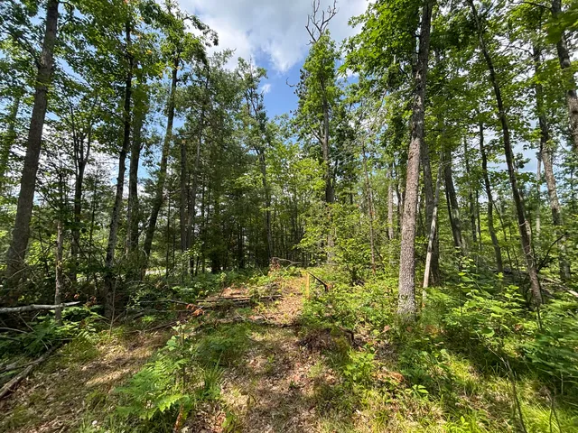 $54,900 | 12.27 A Meridian Line Road, Johannesburg, MI 49751