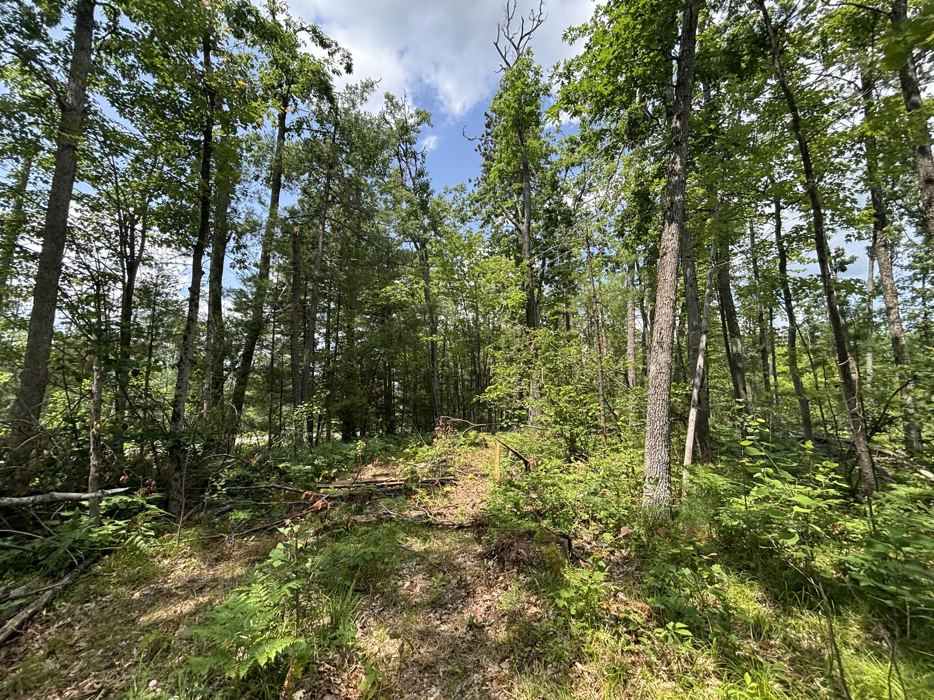 12.27 A Meridian Line Road Johannesburg, MI 49751 - Photo 10 of 14 IMG_8299_2