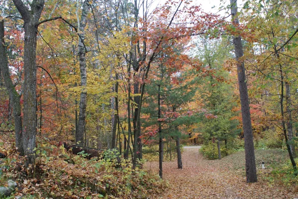 $559,900 | 4388 Robin Lane Northwest, Hackensack, MN 56452