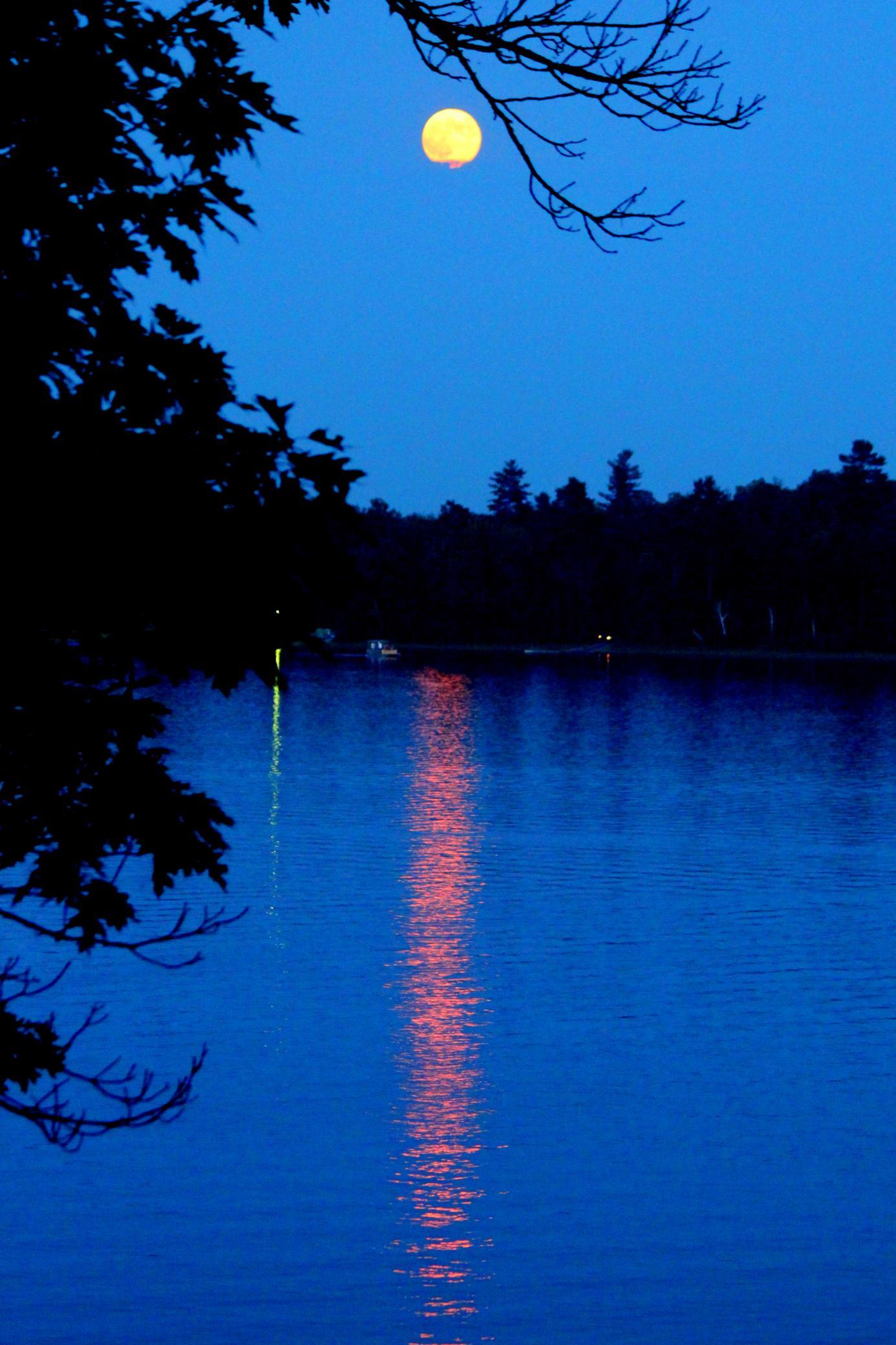 4388 Robin Lane Northwest Hackensack, MN 56452 - Photo 103 of 111