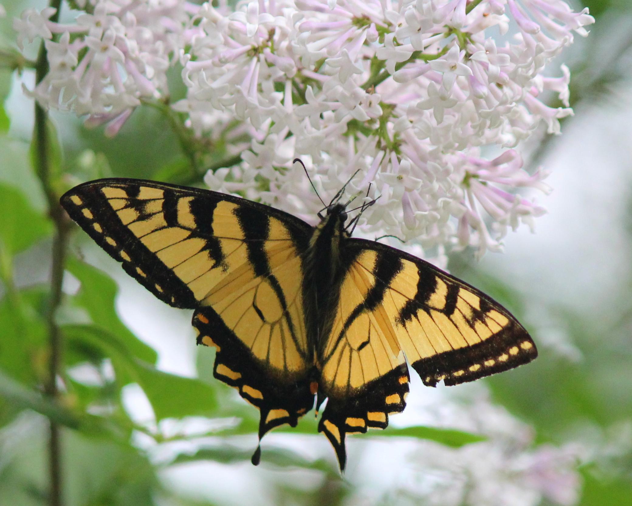 4388 Robin Lane Northwest Hackensack, MN 56452 - Photo 105 of 111