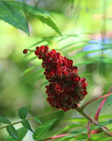 $559,900 | 4388 Robin Lane Northwest, Hackensack, MN 56452