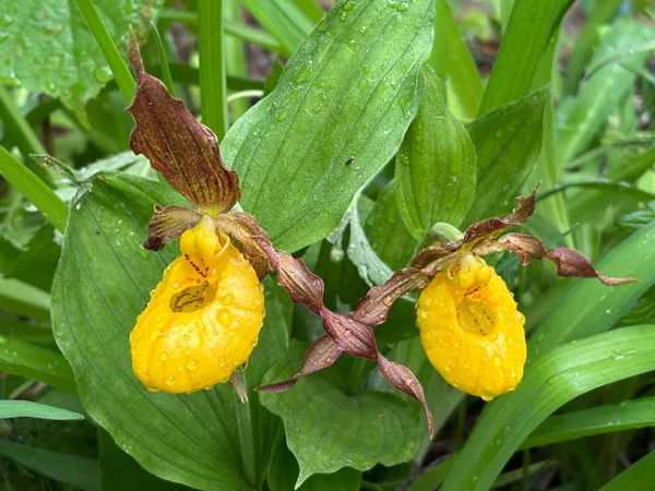 $559,900 | 4388 Robin Lane Northwest, Hackensack, MN 56452