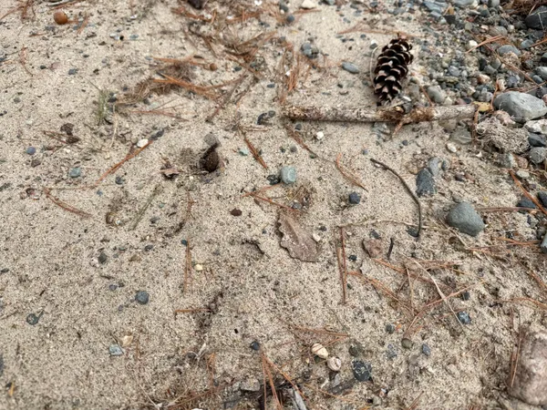 $559,900 | 4388 Robin Lane Northwest, Hackensack, MN 56452