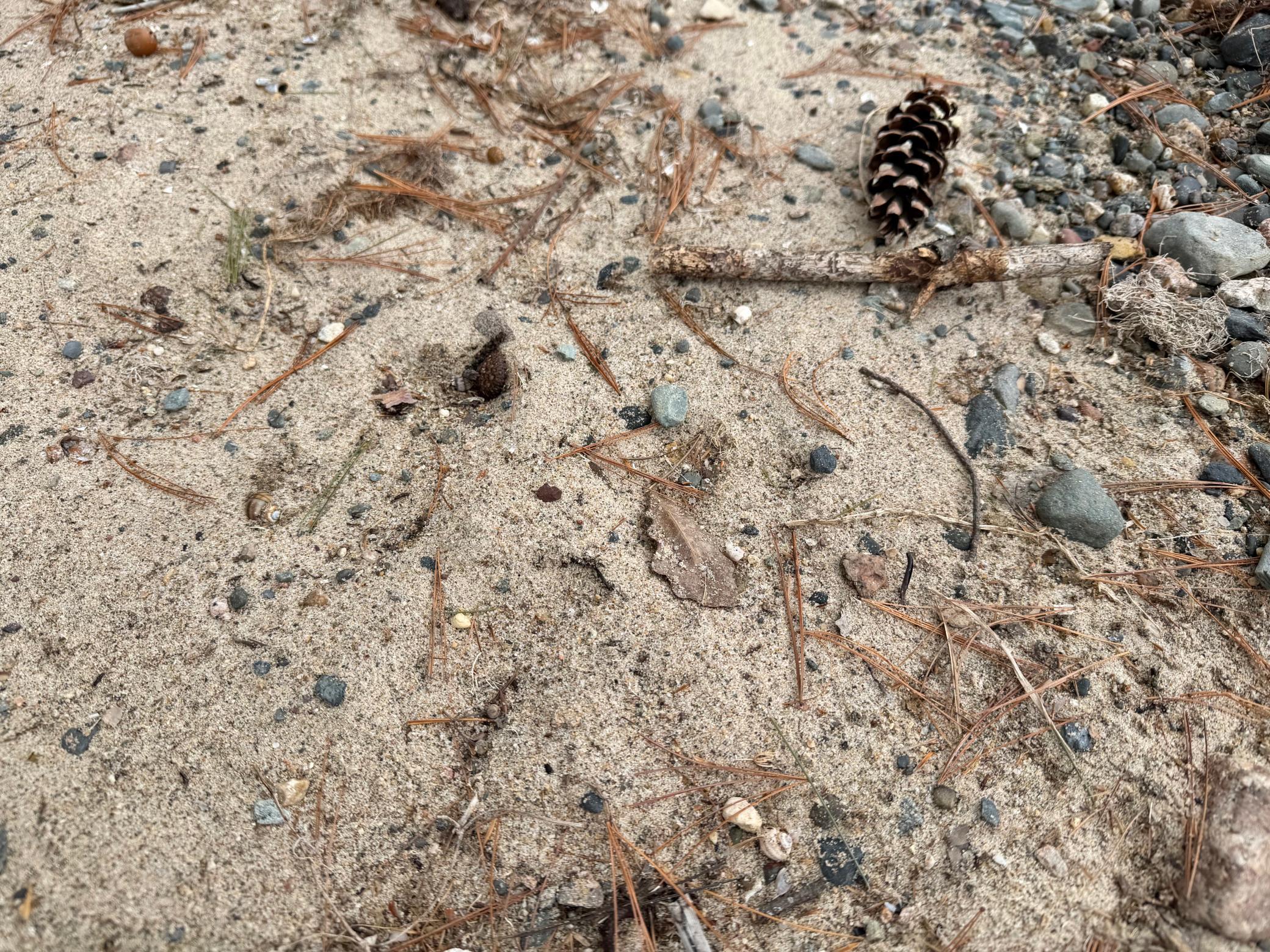 4388 Robin Lane Northwest Hackensack, MN 56452 - Photo 89 of 111