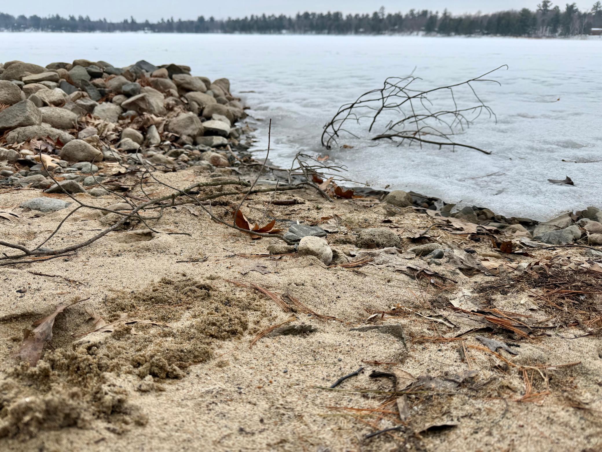 4388 Robin Lane Northwest Hackensack, MN 56452 - Photo 90 of 111