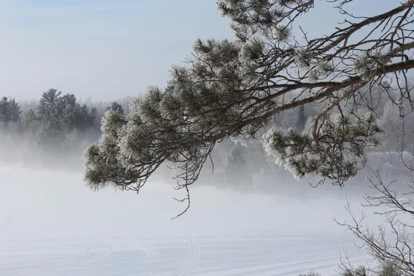 $559,900 | 4388 Robin Lane Northwest, Hackensack, MN 56452