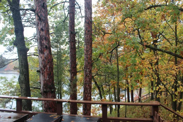 $559,900 | 4388 Robin Lane Northwest, Hackensack, MN 56452