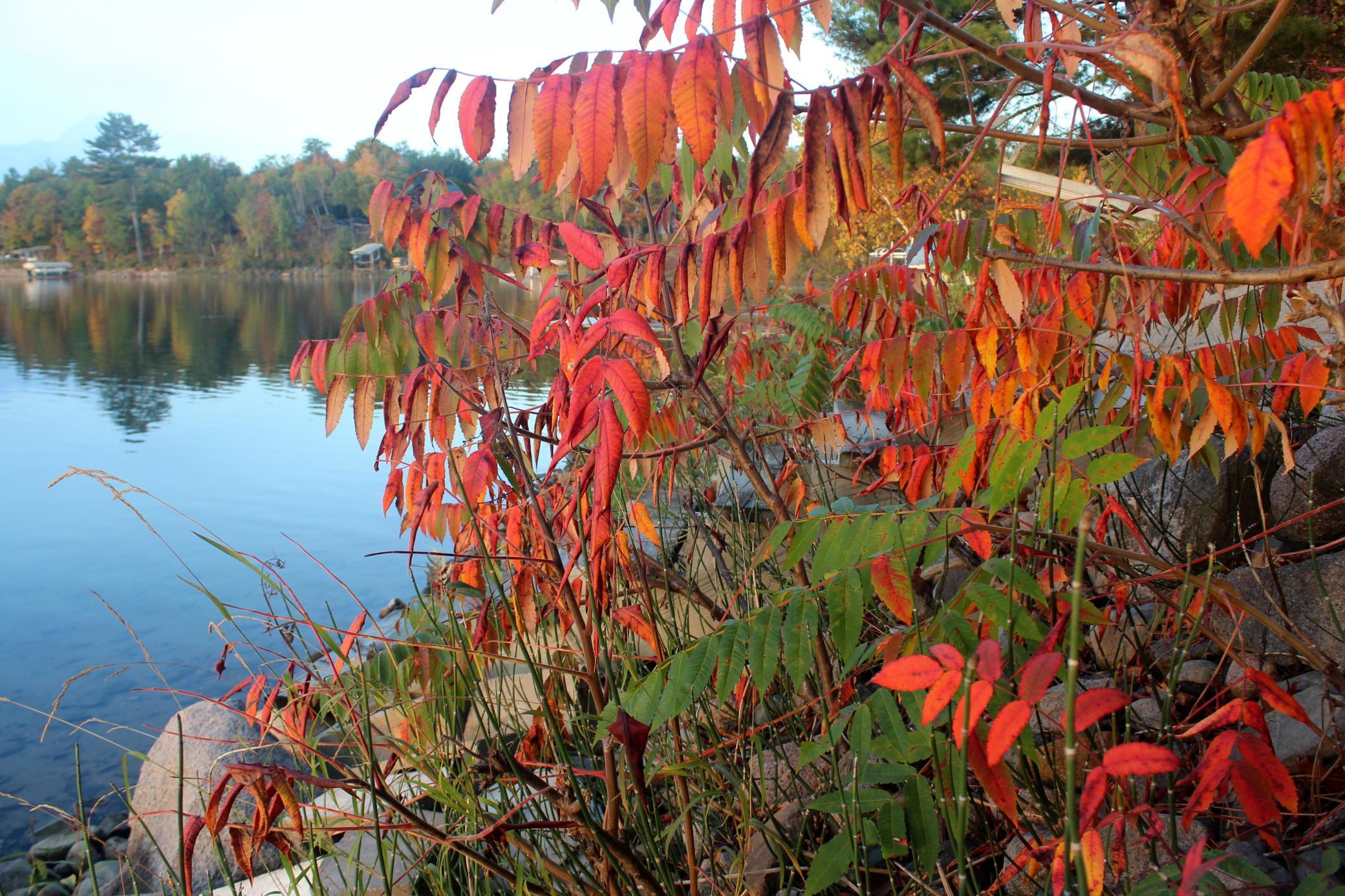 4388 Robin Lane Northwest Hackensack, MN 56452 - Photo 99 of 111