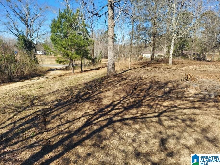 4900 County Road 232, Unit 1 Clanton, AL 35045 - Photo 3 of 4