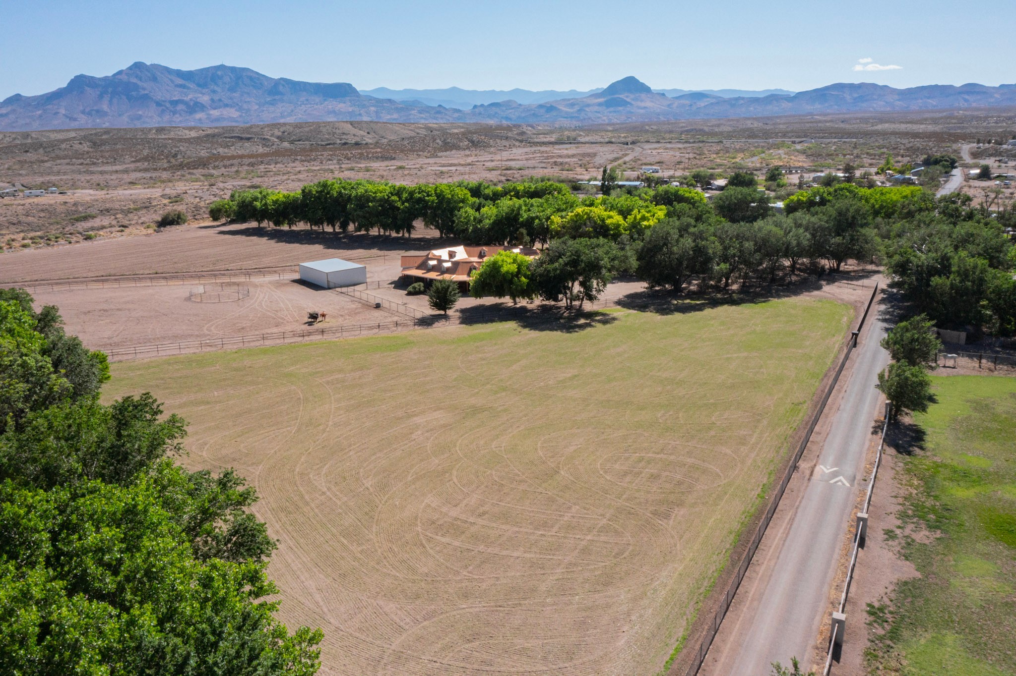 26 Schmittle Road Socorro, NM 87801 - Photo 60 of 80 Front pasture laser leveled and freshly seeded in Herdmaster Mix. New metal fencing with horse panel on this field