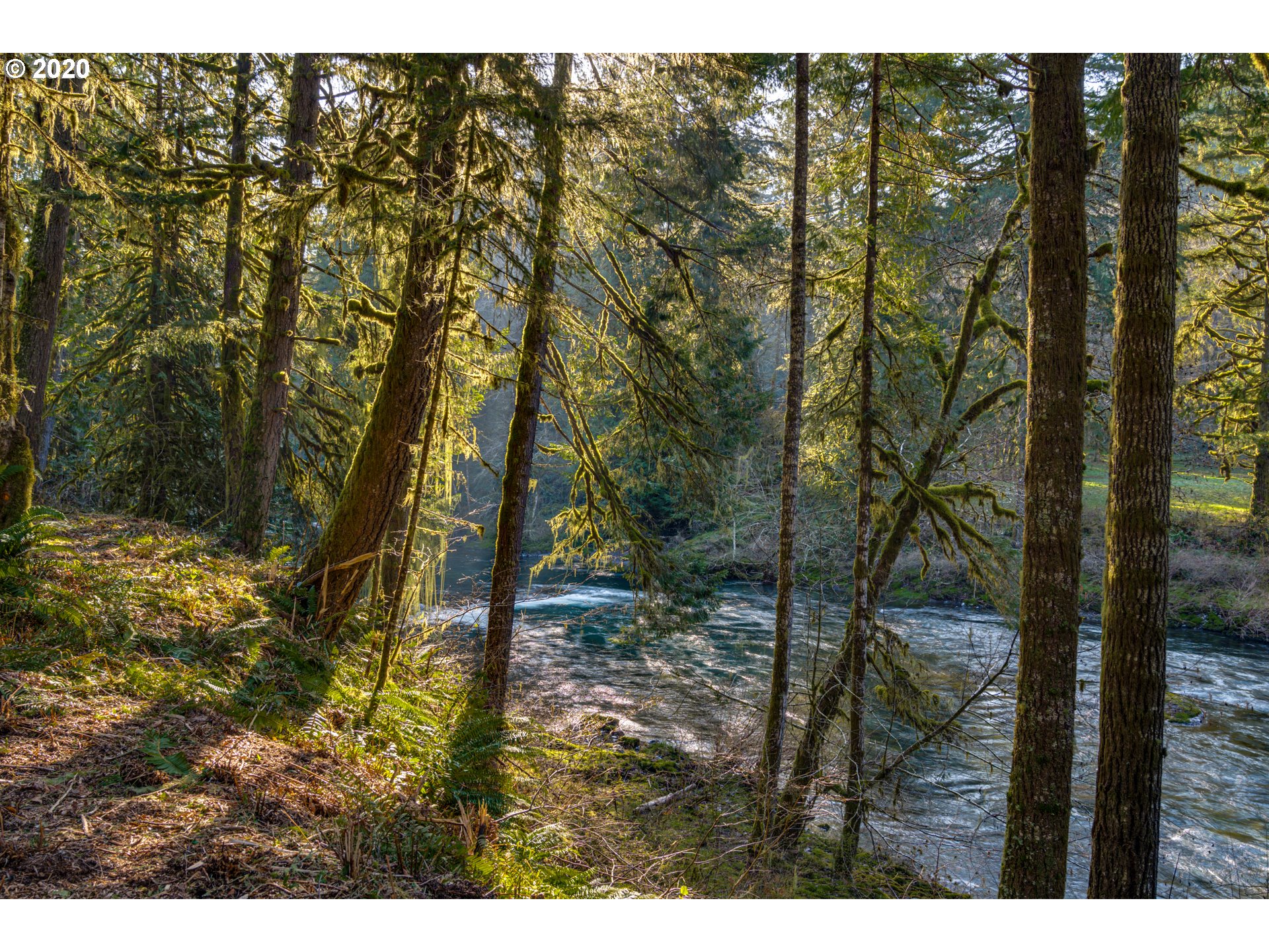 8801 Kalama River Road Kalama, WA 98625 - Photo 28 of 32 Gallery Image 28