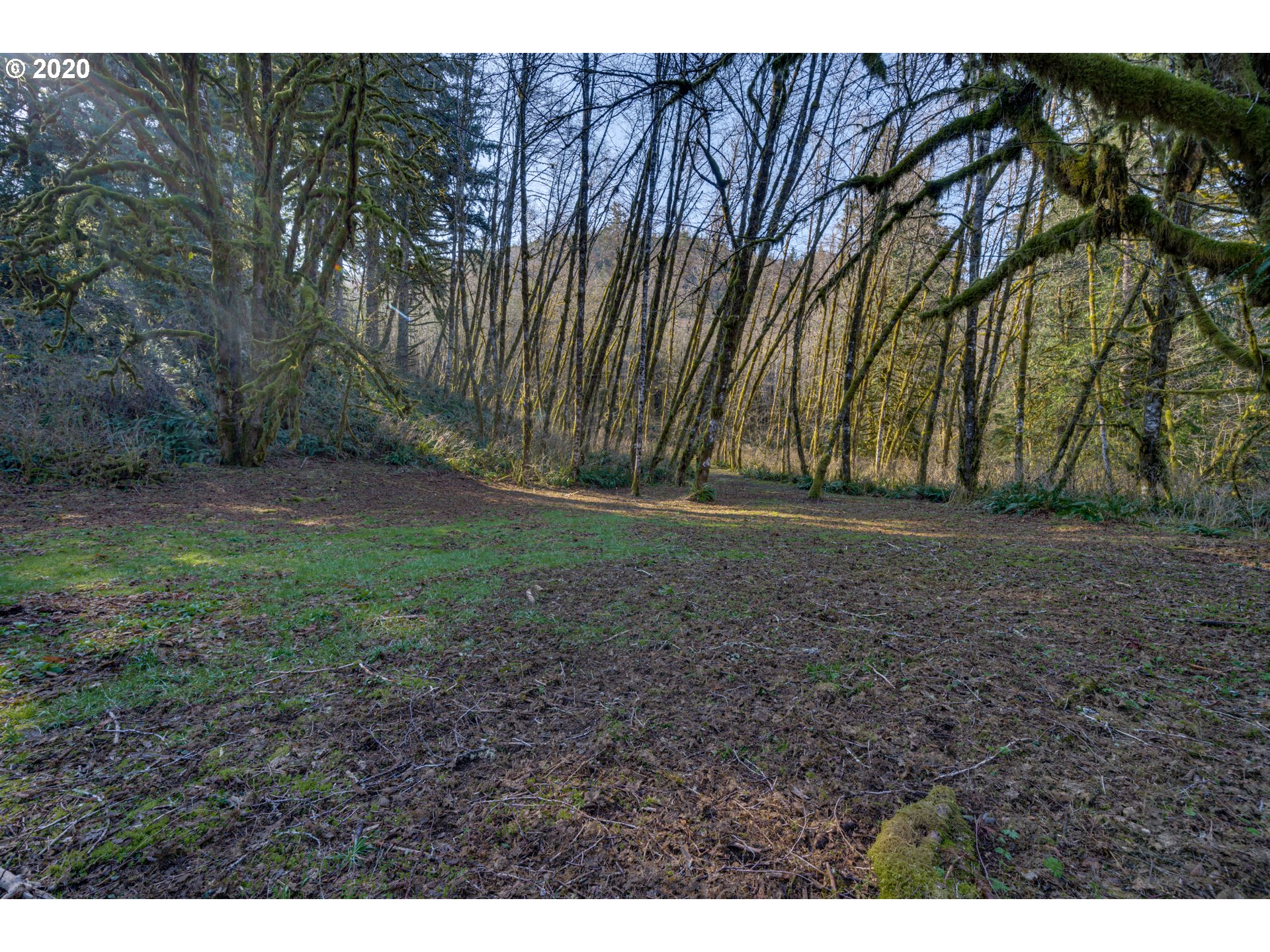 8801 Kalama River Road Kalama, WA 98625 - Photo 31 of 32 Gallery Image 31