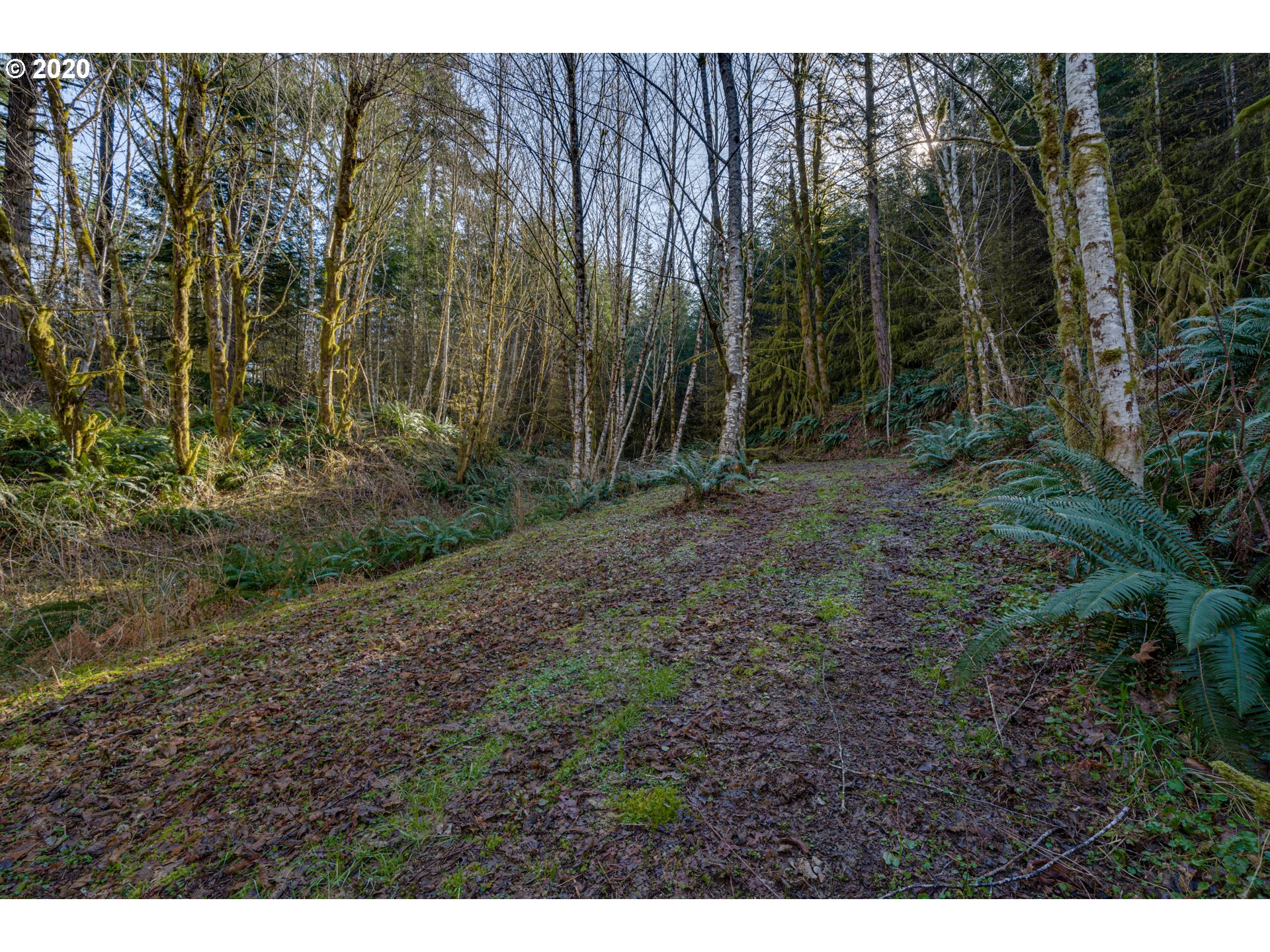 8801 Kalama River Road Kalama, WA 98625 - Photo 32 of 32 Gallery Image 32