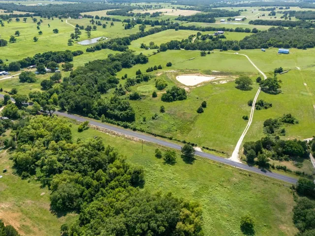 a view of a large trees