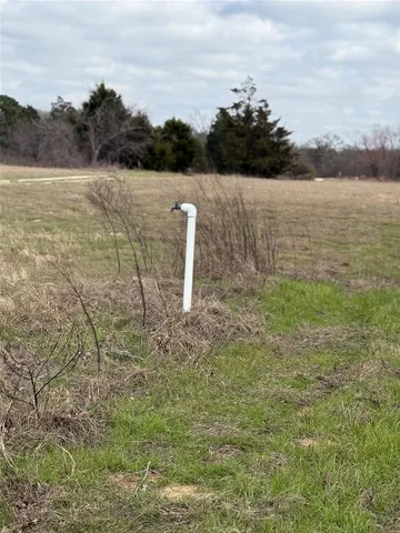 a view of a lake from a yard