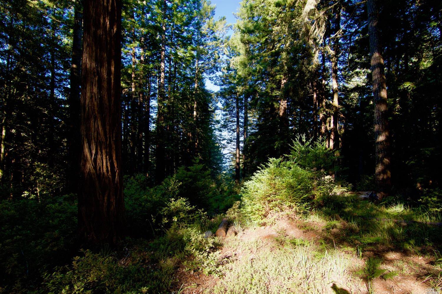 22029 Timber Cove Road Jenner, CA 95450 - Photo 1 of 1 Gallery Image 1