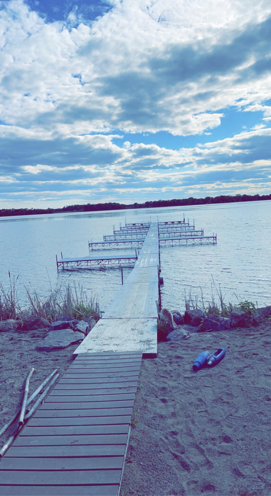 46422 Cape Horn Road Cleveland, MN 56017 - Photo 49 of 52